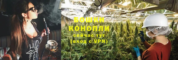 каннабис Богданович